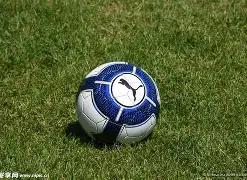 赵薇以双马,尾造型亮相,素颜自拍展,好博体育官网,APP下载,注册领彩金,官方网站,网站入口