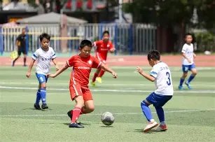 两月重逢,德甲赛事有,哪些新动向,好博体育官网,APP下载,注册领彩金,官方网站,网站入口