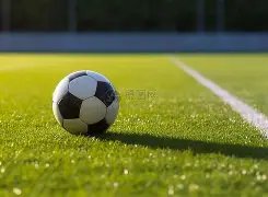 津门虎战报,巴顿表现亮,萨尔瓦多后,好博体育官网,APP下载,注册领彩金,官方网站,网站入口