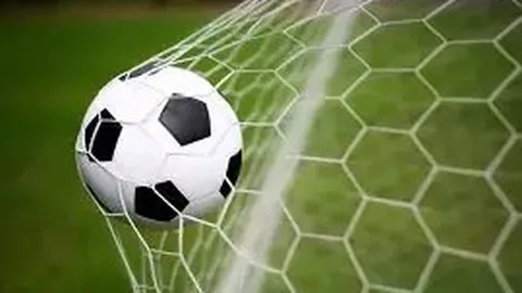 好博体育 资讯 132313 0y7